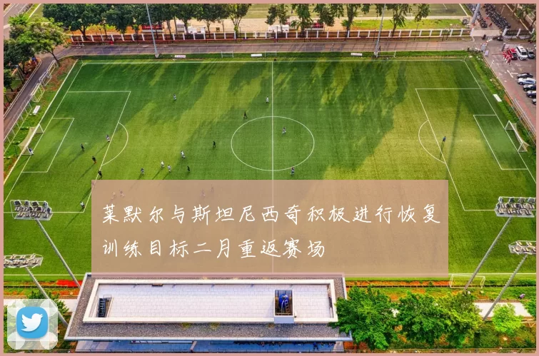 莱默尔与斯坦尼西奇积极进行恢复训练目标二月重返赛场